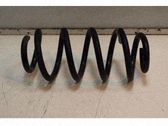 Muelle espiral trasero