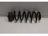 Muelle espiral trasero