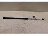 Rear window strut damper