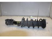 Front shock absorber/damper