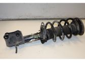 Front shock absorber/damper