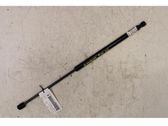 Rear window strut damper