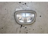 Luz del asiento delantero