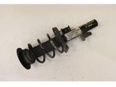 Front shock absorber/damper
