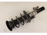 Front shock absorber/damper