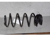 Feder hinten