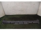 Moldura del faldón lateral
