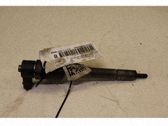 Inyector de combustible