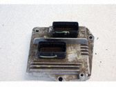 Steuergerät Hochdruckkraftstoffpumpe