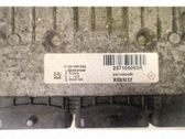Unité / module de commande d'injection de carburant