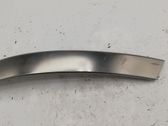 Other rear door trim element