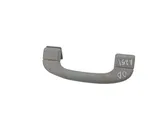 Front interior roof grab handle