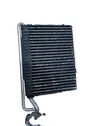 Gaisa kondicioniera radiators (salonā)