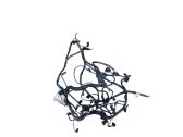 Engine installation wiring loom