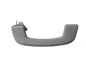 Front interior roof grab handle