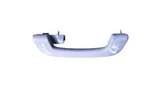 Rear interior roof grab handle