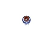 Rear tail light bulb