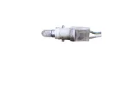Rear tail light bulb
