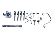 Fuel injection system set