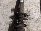 Front shock absorber with coil spring