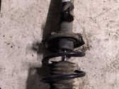 Front shock absorber with coil spring