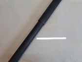 Tailgate/trunk strut/damper