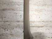 (A) pillar trim