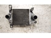 Intercooler radiator