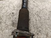 Stoßdämpfer hinten