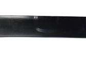 Listón embellecedor de la puerta delantera (moldura)