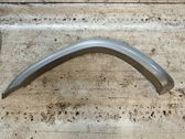 Fender trim (molding)