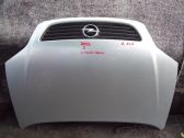 Engine bonnet/hood