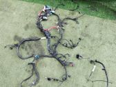 Engine installation wiring loom