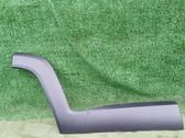Rear door trim (molding)