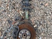 Front shock absorber with coil spring