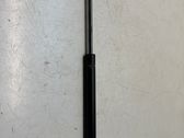 Tailgate/trunk strut/damper
