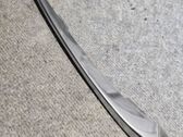 (B) pillar trim (bottom)