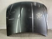 Motorhaube