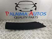 (A) pillar trim