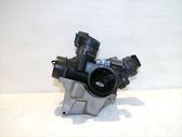 Throttle body valve