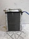 Elektrinis salono pečiuko radiatorius
