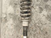Front shock absorber with coil spring