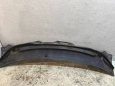 Wiper trim
