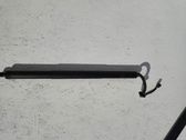 Tailgate strut