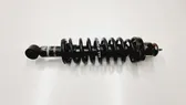 Rear shock absorber/damper