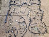 Other wiring loom
