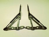 Tailgate/trunk/boot hinge