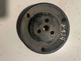 Polea de la bomba de agua
