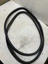 Front door rubber seal