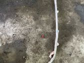 Roof airbag